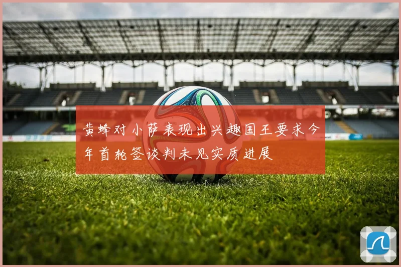 黄蜂对小萨表现出兴趣国王要求今年首轮签谈判未见实质进展
