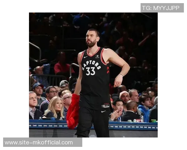 湖人健康阵容轮换分析范德彪与克内克特或将面临边缘化挑战