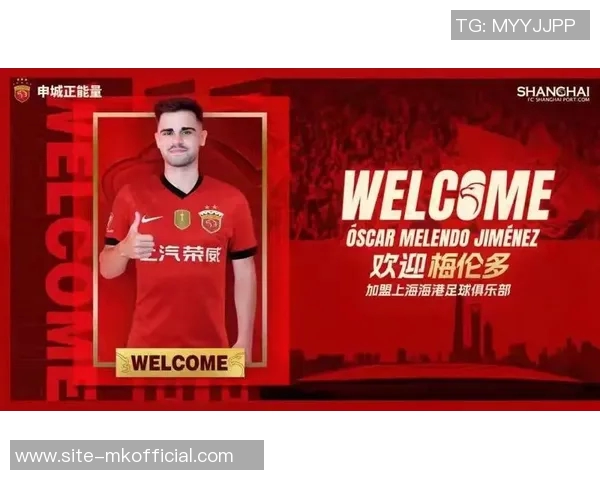 海港黑风双煞已到位梅伦多或将无缘本赛季中超报名 海港黑风双煞已到位梅伦多或将无缘本赛季中超报名